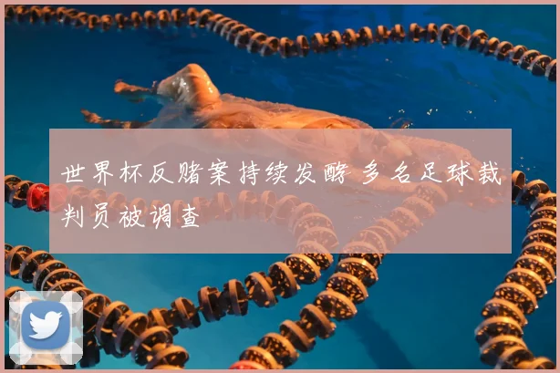 世界杯反赌案持续发酵 多名足球裁判员被调查