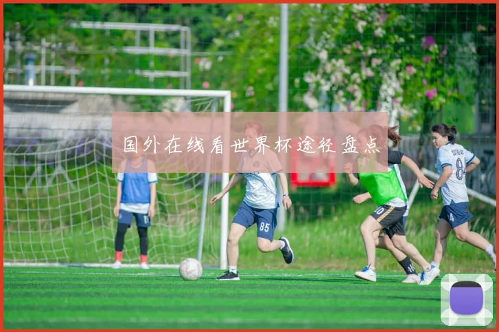 国外在线看世界杯途径盘点