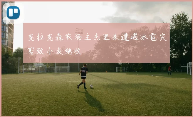 克拉克森农场主杰里米遭遇冰雹灾害致小麦绝收