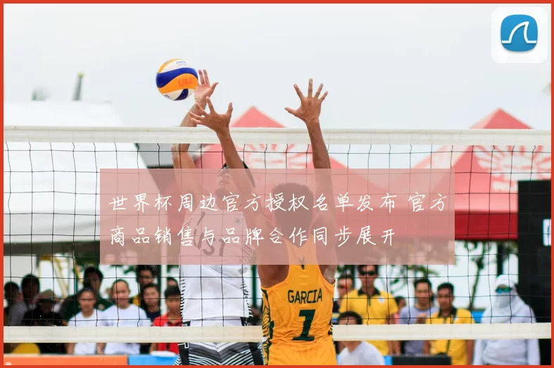 世界杯周边官方授权名单发布 官方商品销售与品牌合作同步展开